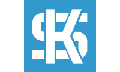 KOLBENSCHMIDT